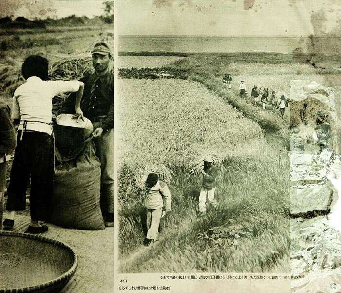 1937年淞沪会战（八·一三事变）影像资料大全预览图2