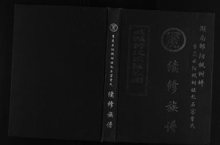 重庆曾氏-曾氏族谱[不分卷].pdf电子版缩略图