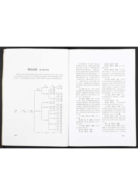 重庆曾氏-武城曾氏续修族谱重庆市大足曾氏.pdf电子版预览图2