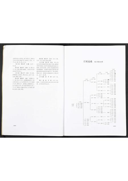 重庆曾氏-武城曾氏续修族谱重庆市大足曾氏.pdf电子版预览图3