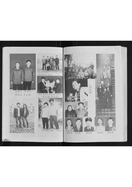 重庆陈氏-丰都县黄沙坝陈氏三修族谱.pdf电子版预览图5