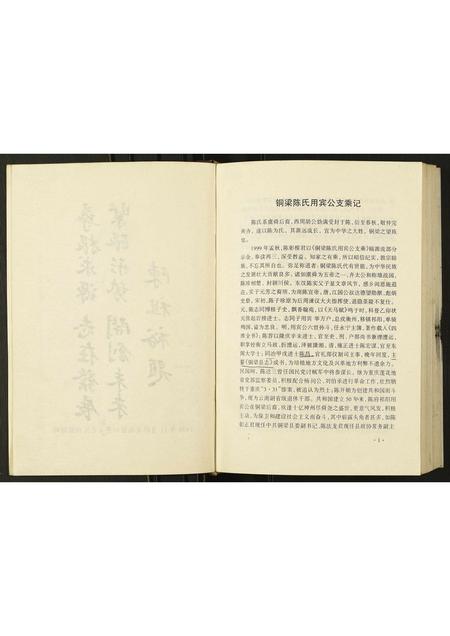 重庆陈氏-陈氏家乘记.pdf电子版预览图5