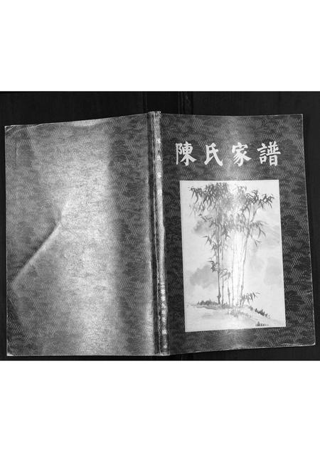 重庆陈氏-陈氏家谱[不分卷].pdf电子版缩略图