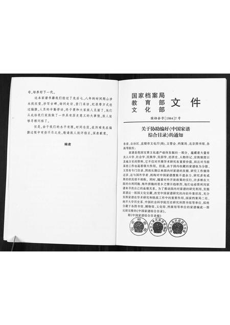 重庆陈氏-陈氏家谱[不分卷].pdf电子版预览图2