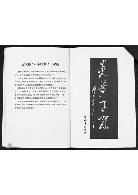 重庆陈氏-陈氏家谱[不分卷].pdf电子版预览图4