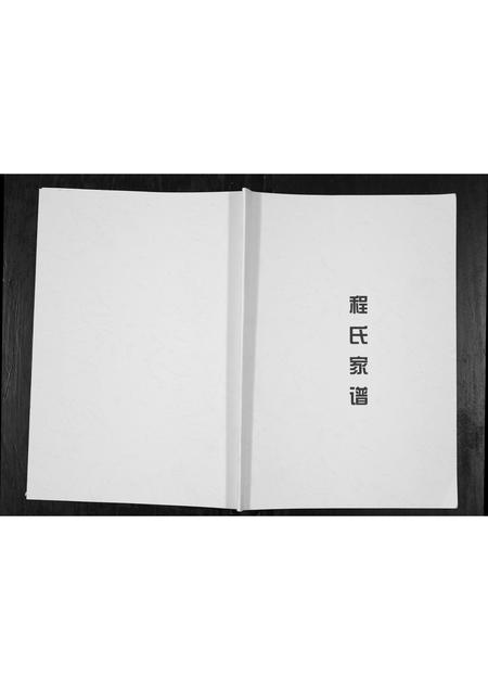重庆程氏-程氏家谱[不分卷].pdf电子版缩略图