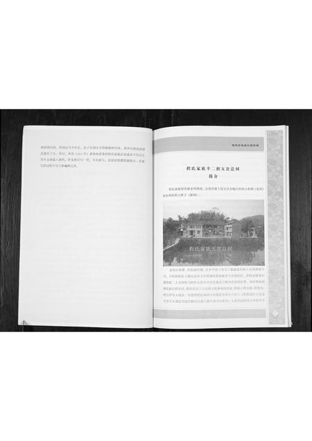 重庆程氏-程氏家谱[不分卷].pdf电子版预览图3