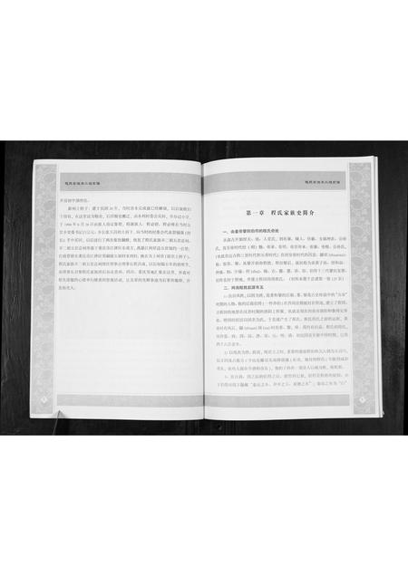 重庆程氏-程氏家谱[不分卷].pdf电子版预览图4