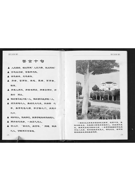 重庆张氏-张氏家谱.pdf电子版预览图2