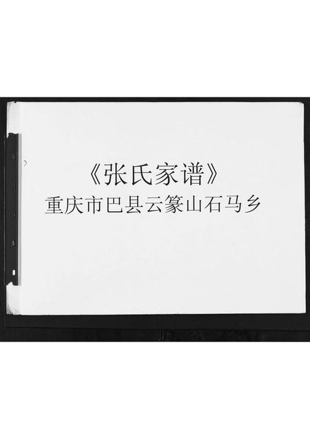 重庆张氏-张氏家谱.pdf电子版缩略图