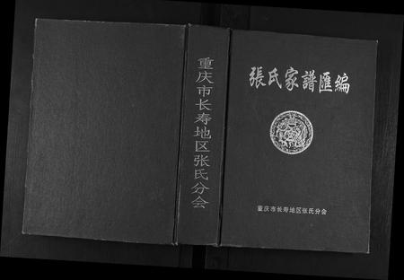 重庆张氏-张氏家谱汇编.pdf电子版缩略图