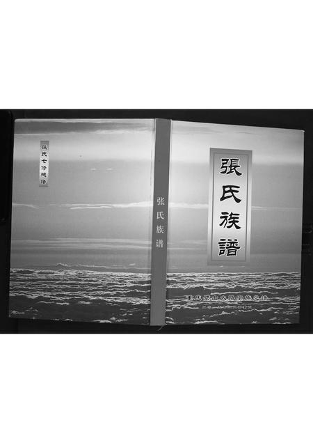 重庆张氏-张氏族谱.pdf电子版缩略图