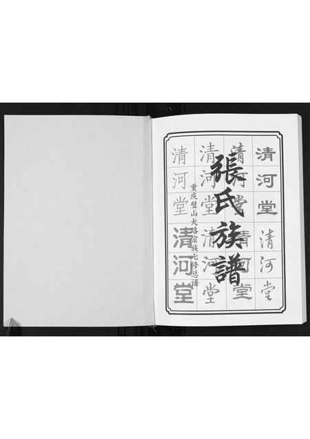 重庆张氏-张氏族谱.pdf电子版预览图1