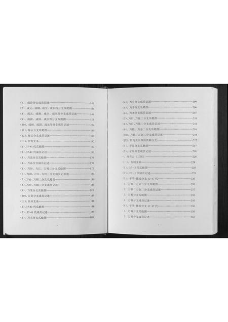 重庆张氏-张氏族谱.pdf电子版预览图4