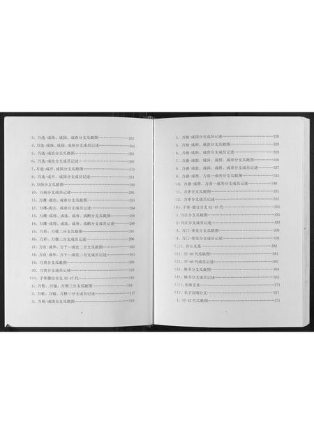 重庆张氏-张氏族谱.pdf电子版预览图5