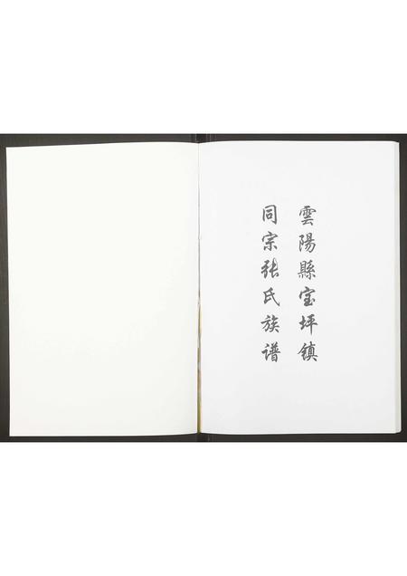 重庆张氏-张氏族谱.pdf电子版预览图1