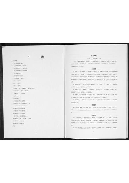 重庆朱氏-永川朱氏家谱.pdf电子版预览图2