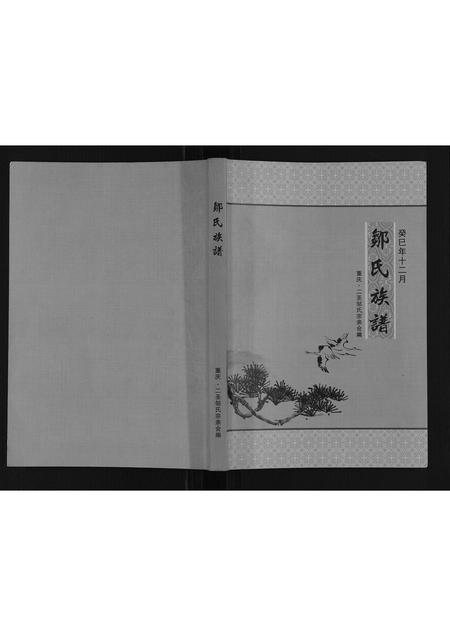 重庆邹氏-邹氏族谱.pdf电子版缩略图