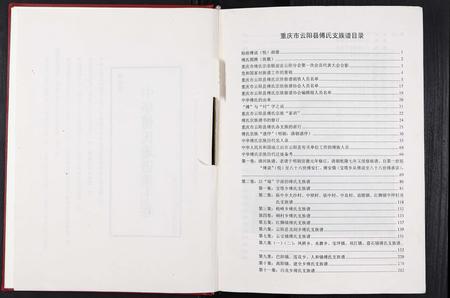 重庆傅氏-中华傅氏通谱[12卷].pdf电子版预览图1