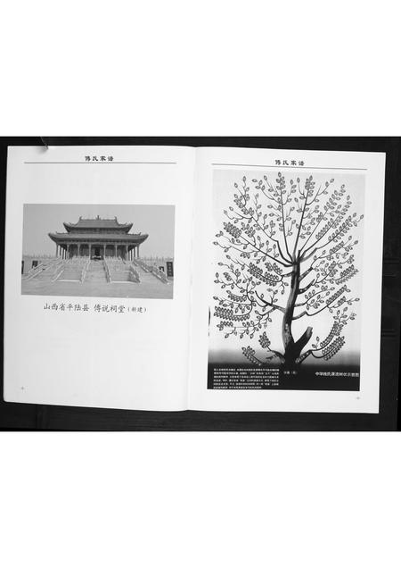 重庆傅氏-傅氏家谱.pdf电子版预览图5