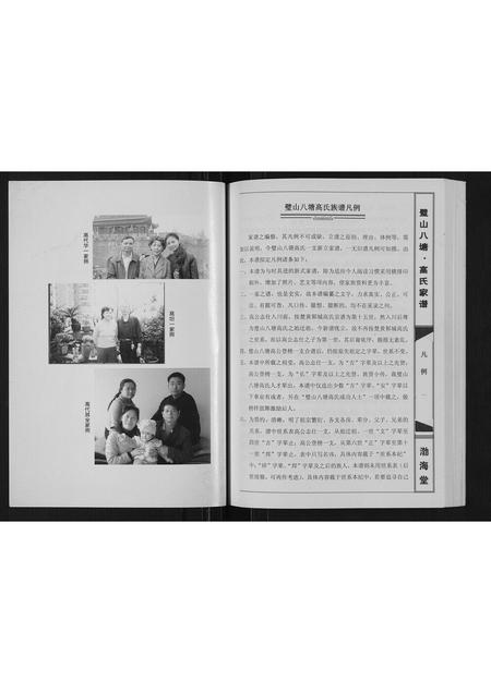 重庆高氏-高氏家谱[不分卷].pdf电子版预览图2