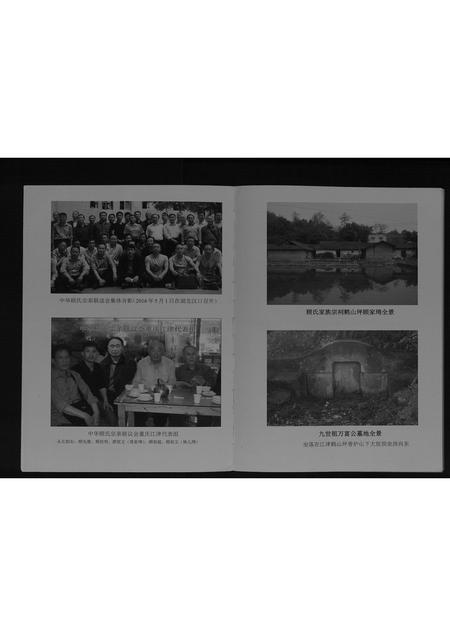 重庆顾氏-顾氏族谱[不分卷].pdf电子版预览图3