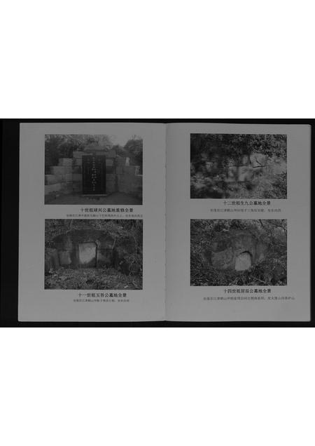 重庆顾氏-顾氏族谱[不分卷].pdf电子版预览图4