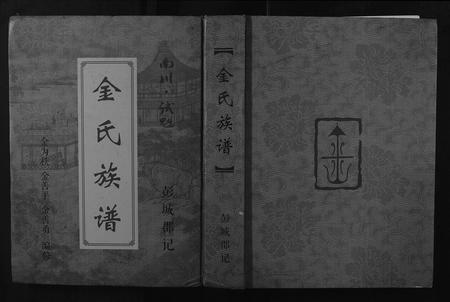 重庆金氏-金氏族谱.pdf电子版缩略图