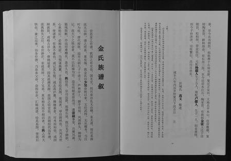 重庆金氏-金氏族谱.pdf电子版预览图2