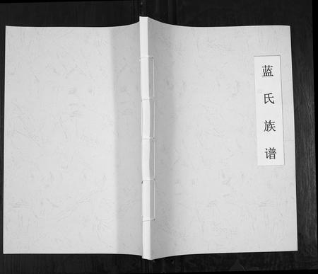 重庆蓝氏-蓝氏族谱.pdf电子版缩略图