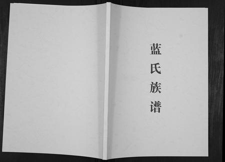 重庆蓝氏-蓝氏族谱[不分卷].pdf电子版缩略图