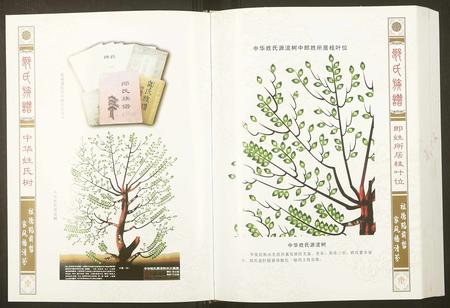 重庆郎氏-郎氏族谱.pdf电子版预览图4