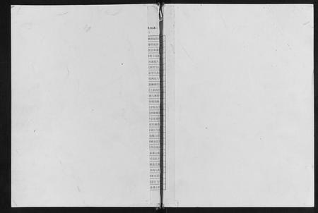 重庆李氏-李氏族谱.pdf电子版缩略图