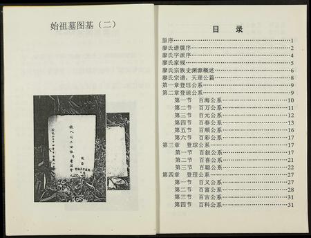 重庆廖氏-廖氏宗谱.重庆渝北区白岩乡廖家湾.pdf电子版预览图4