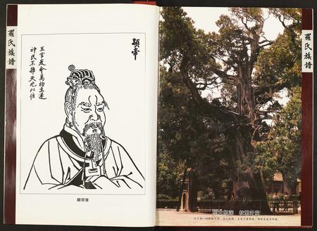 重庆罗氏-罗氏族谱.pdf电子版预览图4