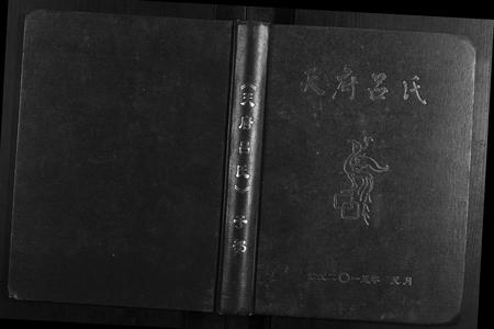 重庆吕氏-天府吕氏.pdf电子版缩略图