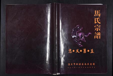 重庆马氏-马氏宗谱.pdf电子版缩略图