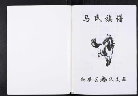 重庆马氏-马氏宗谱.pdf电子版预览图1