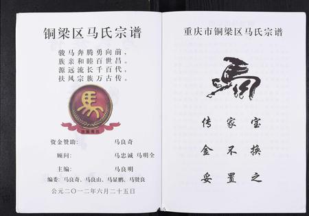 重庆马氏-马氏宗谱.pdf电子版预览图2