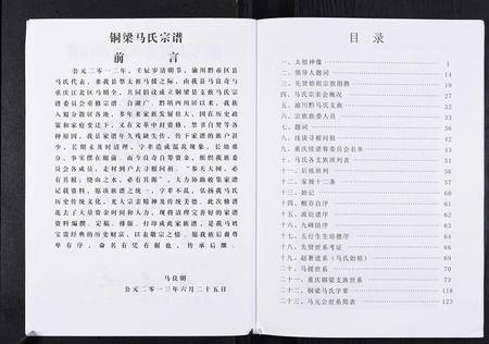 重庆马氏-马氏宗谱.pdf电子版预览图3
