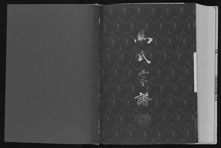 重庆马氏-马氏宗谱[不分卷].pdf电子版预览图1