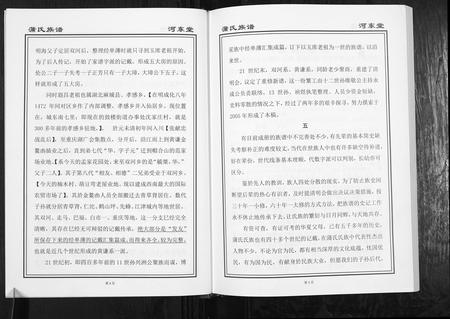 重庆蒲氏-蒲氏族谱[不分卷].pdf电子版预览图4