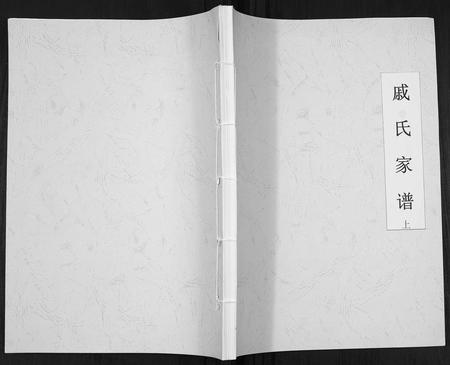 重庆戚氏-戚氏家谱.pdf电子版缩略图