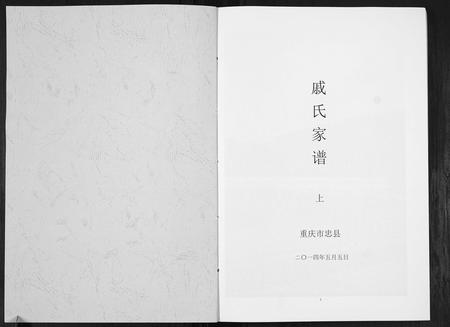 重庆戚氏-戚氏家谱.pdf电子版预览图1