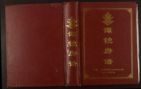 重庆谭氏-谭镗房谱.pdf电子版缩略图