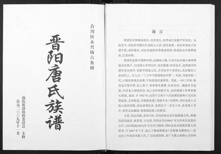 重庆唐氏-晋阳唐氏族谱.pdf电子版预览图1