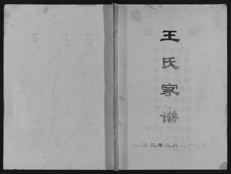 重庆王氏-王氏家谱.pdf电子版缩略图