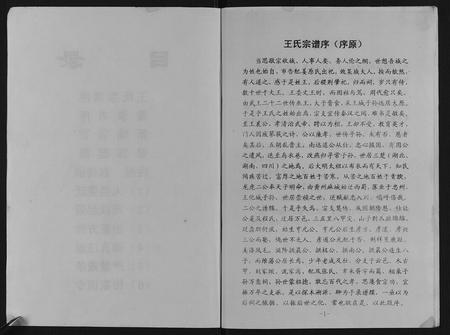 重庆王氏-王氏家谱.pdf电子版预览图2