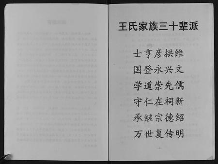 重庆王氏-王氏家谱.pdf电子版预览图5