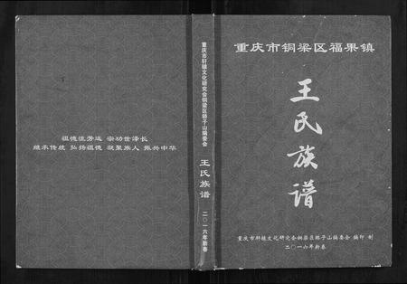重庆王氏-王氏族谱.pdf电子版缩略图